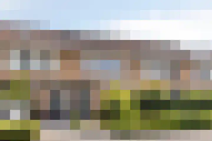 Zomertuin 55 Barneveld thumbnail 40
