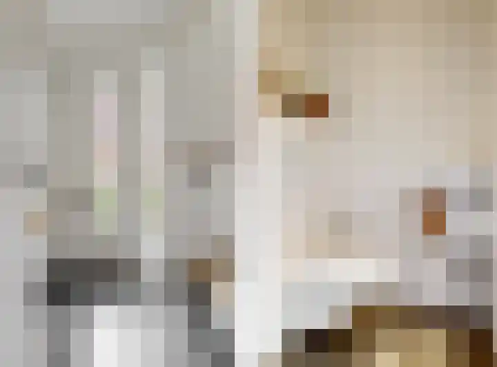 Zomertuinlaan 11 Vleuten thumbnail 12