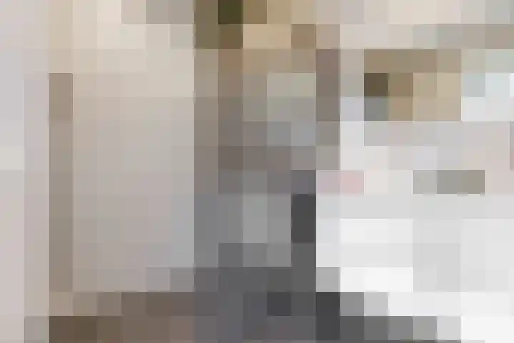 Zomertuinlaan 11 Vleuten thumbnail 24