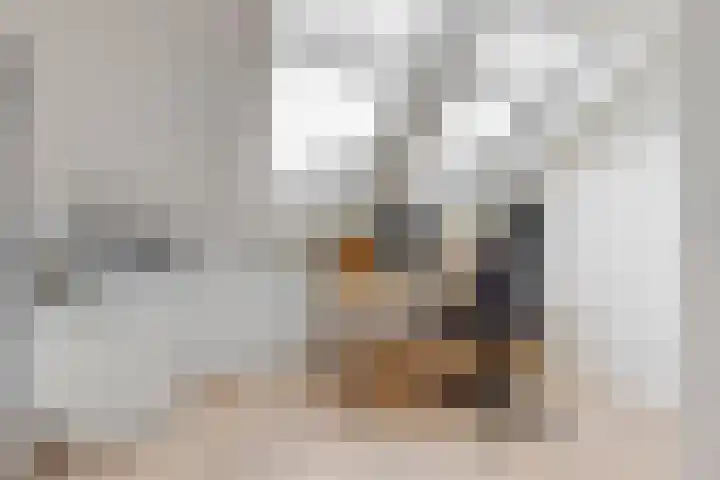 Zomertuinlaan 11 Vleuten thumbnail 28