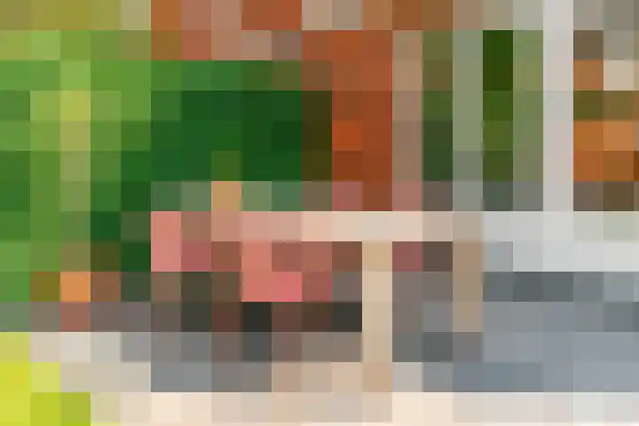 Zomertuinlaan 11 Vleuten thumbnail 31