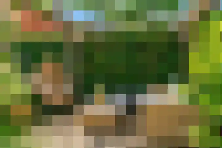 Zomertuinlaan 11 Vleuten thumbnail 32