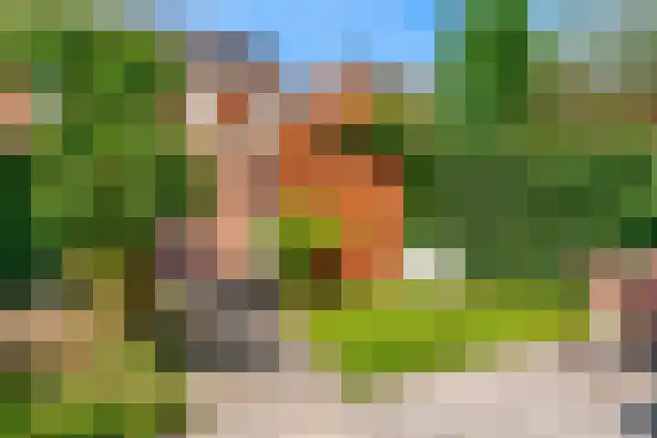 Zomertuinlaan 11 Vleuten thumbnail 33