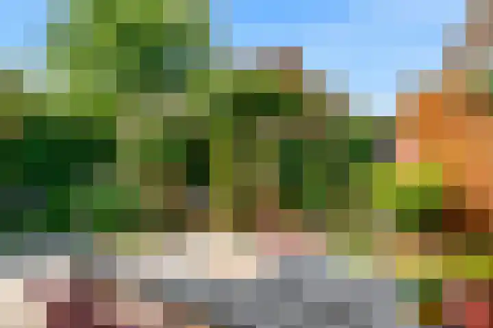 Zomertuinlaan 11 Vleuten thumbnail 34