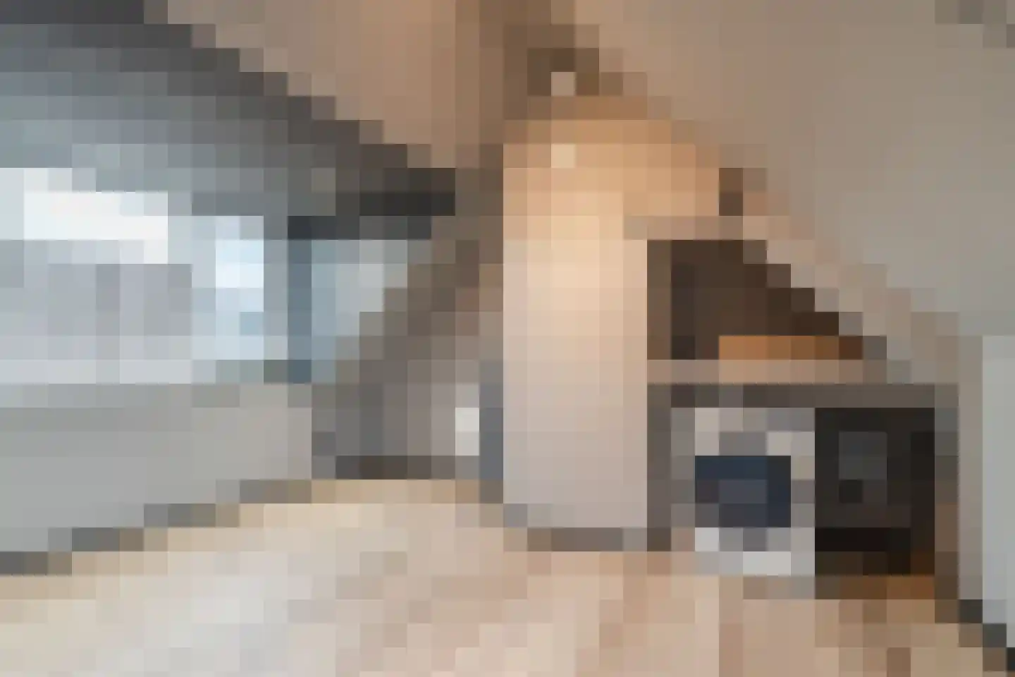 Zomervaagt 9 Hooglanderveen thumbnail 34