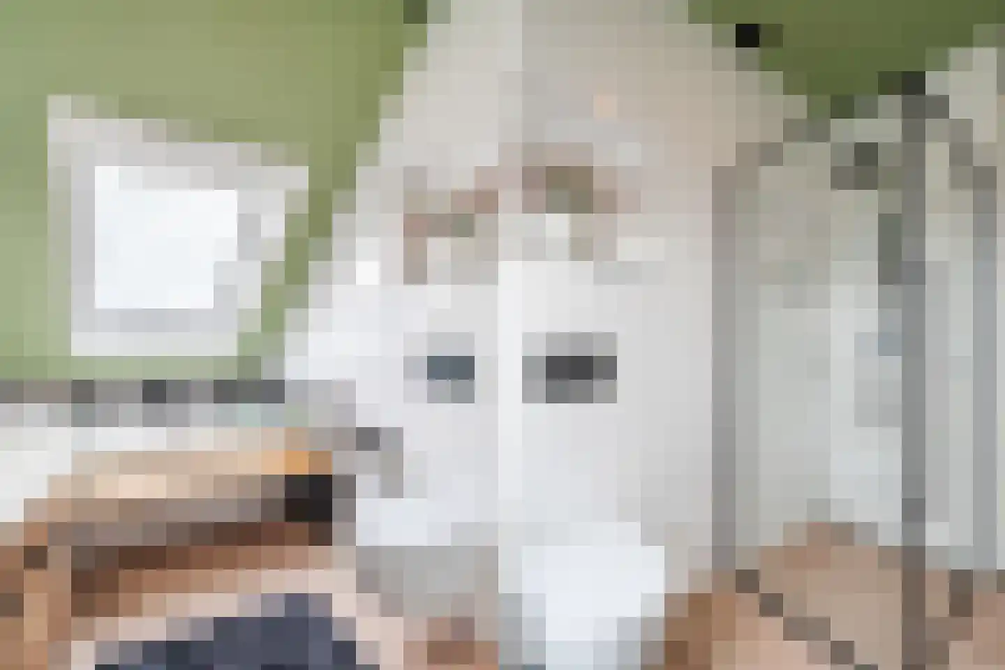 Zomervaagt 9 Hooglanderveen thumbnail 4