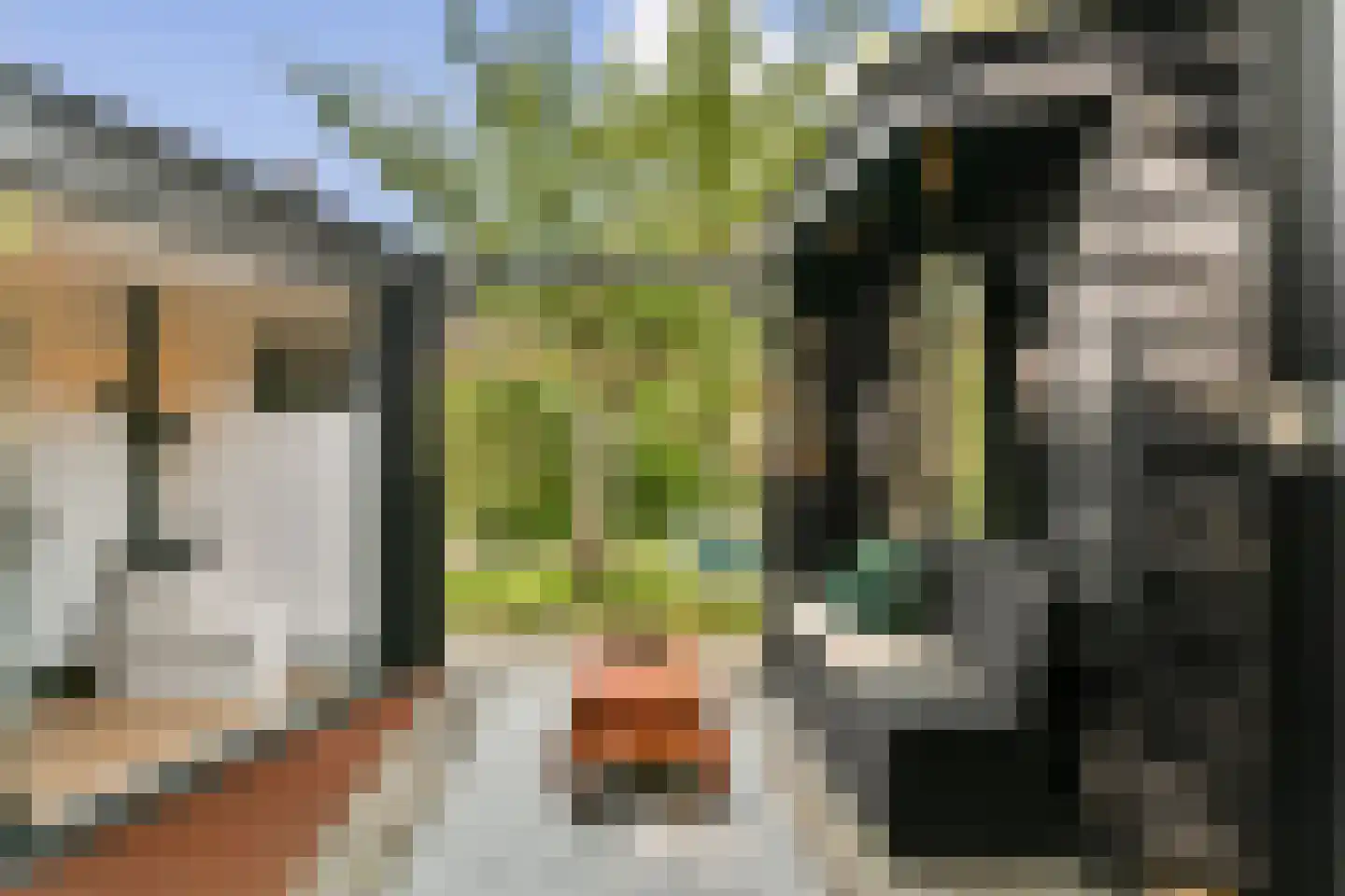 Zomervaart 203 Haarlem thumbnail 12