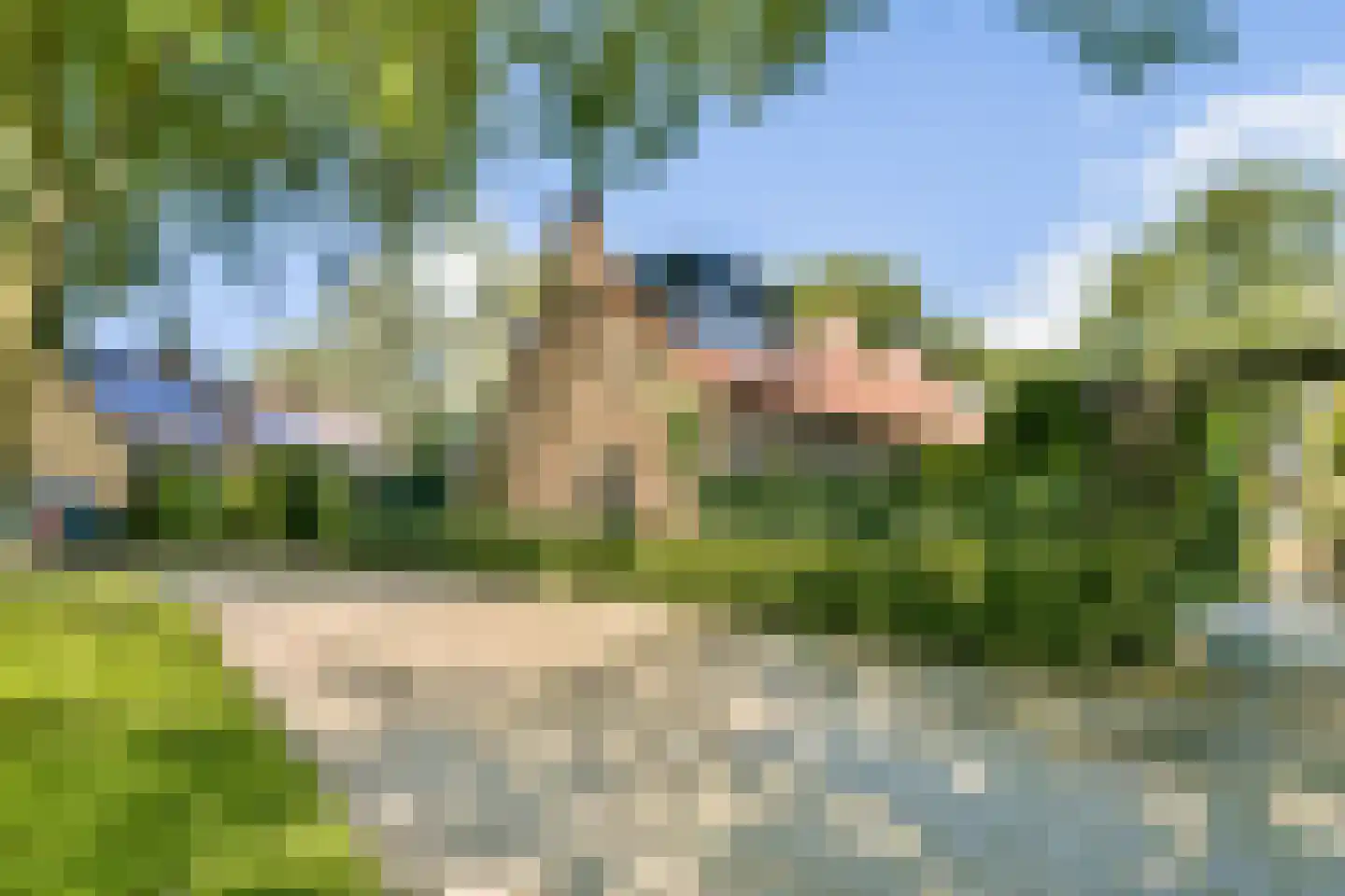 Zomervaart 203 Haarlem thumbnail 22