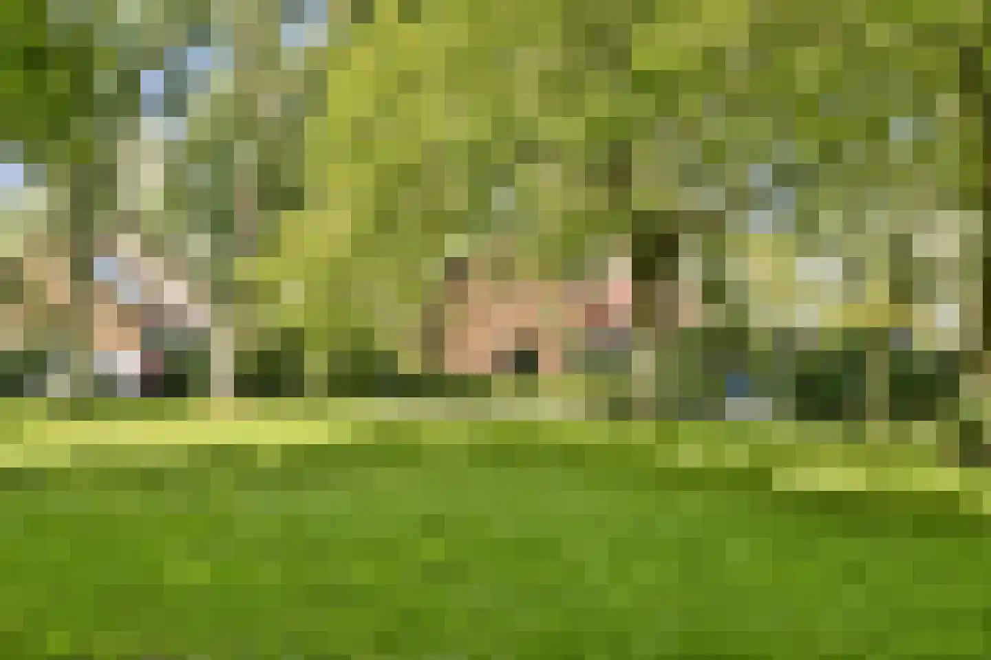 Zomervaart 203 Haarlem thumbnail 25
