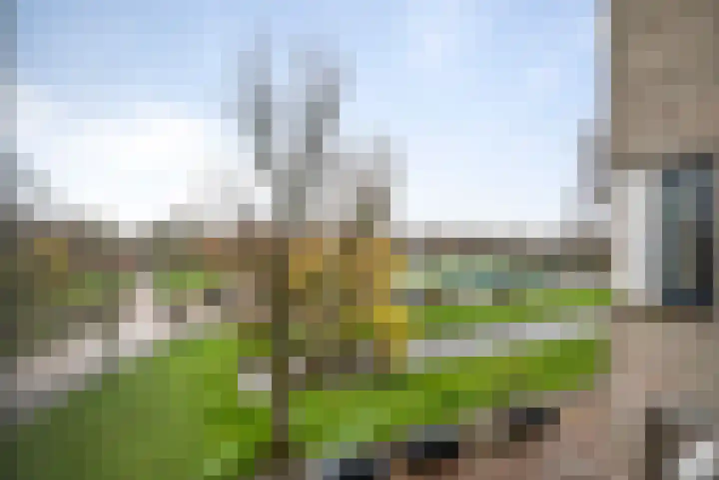 Zomervaart 206 F Haarlem thumbnail 28