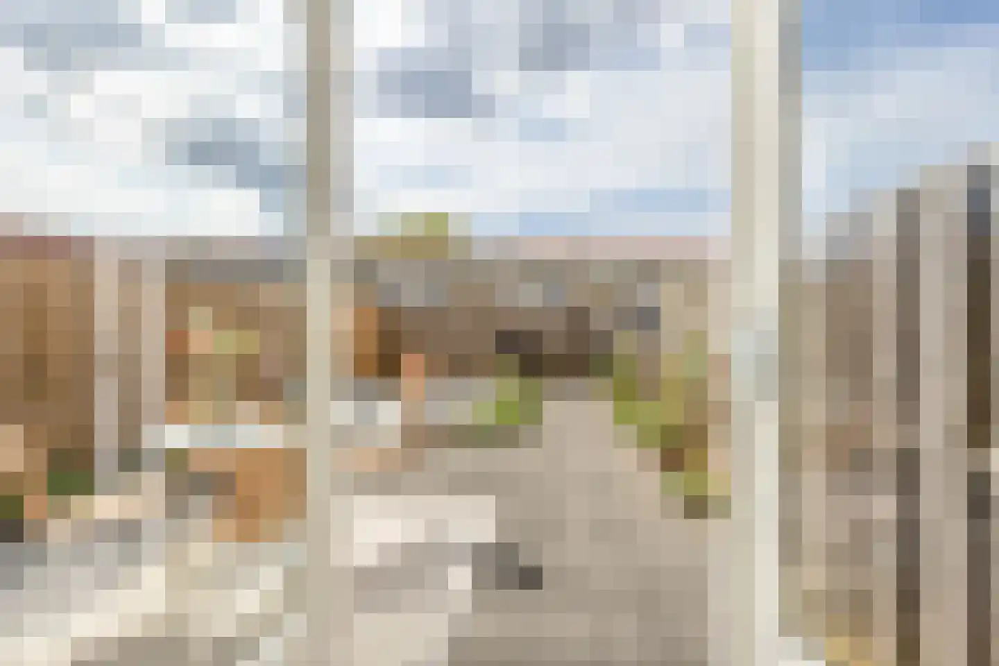 Zomervaart 208 Haarlem thumbnail 17