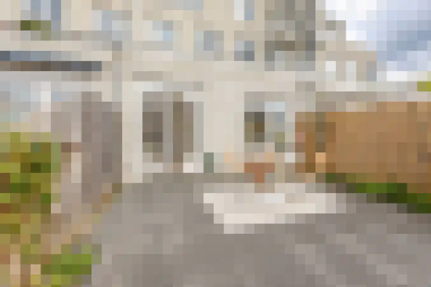 Zomervaart 208 Haarlem thumbnail 19