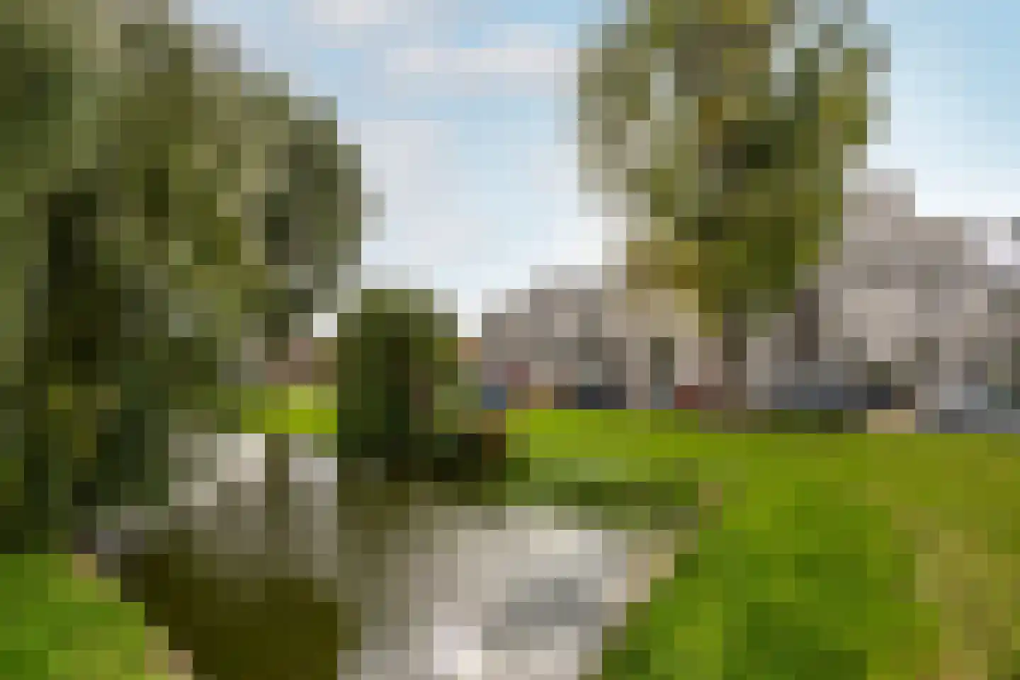 Zomervaart 208 Haarlem thumbnail 21