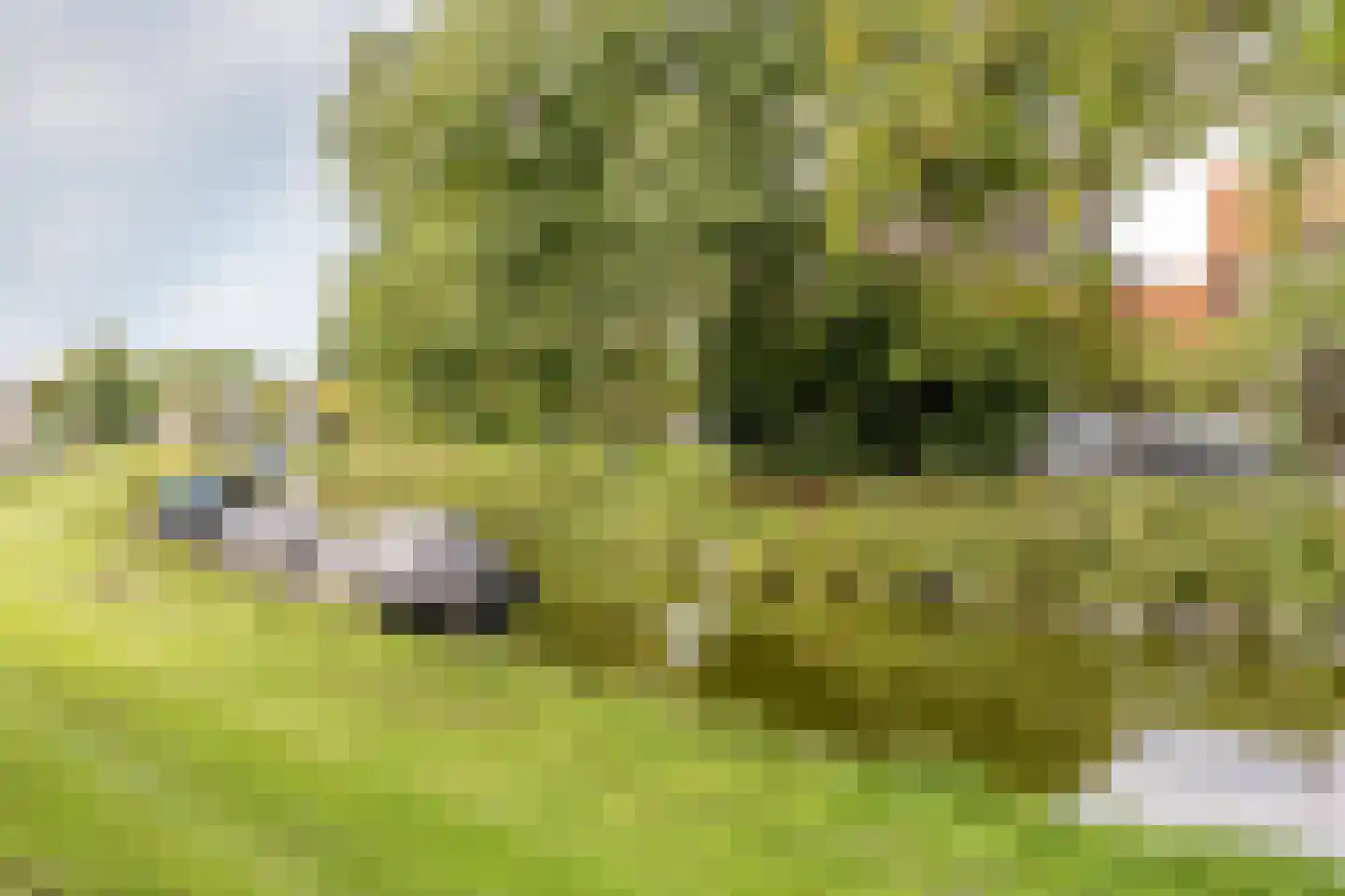 Zomervaart 208 Haarlem thumbnail 22