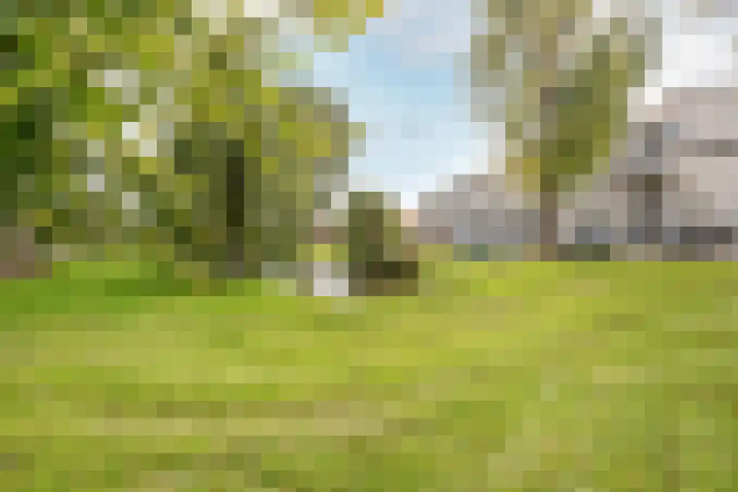 Zomervaart 208 Haarlem thumbnail 23