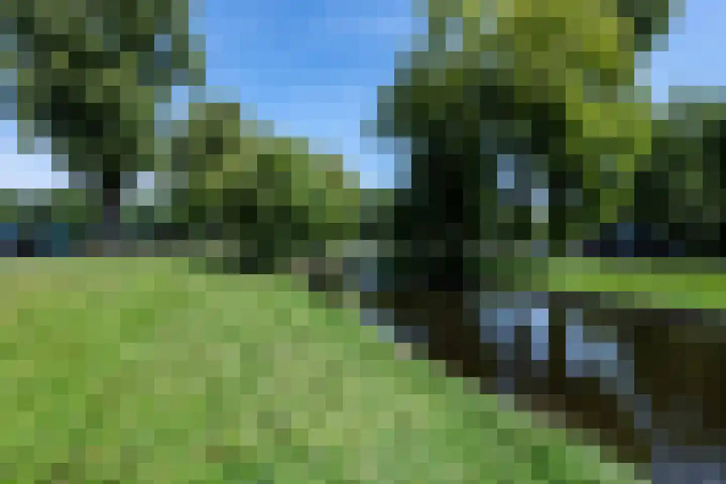 Zomervaart 208 Haarlem thumbnail 25