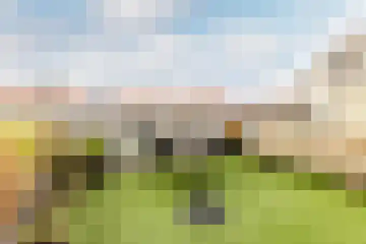 Zomervaart 214 Haarlem thumbnail 4