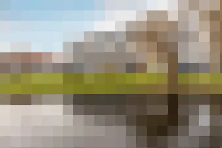 Zomervaart 214 Haarlem thumbnail 6