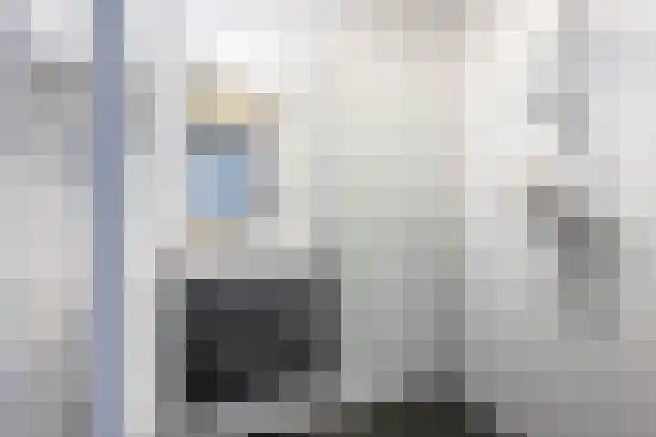 Zomervaart 216 Haarlem thumbnail 13