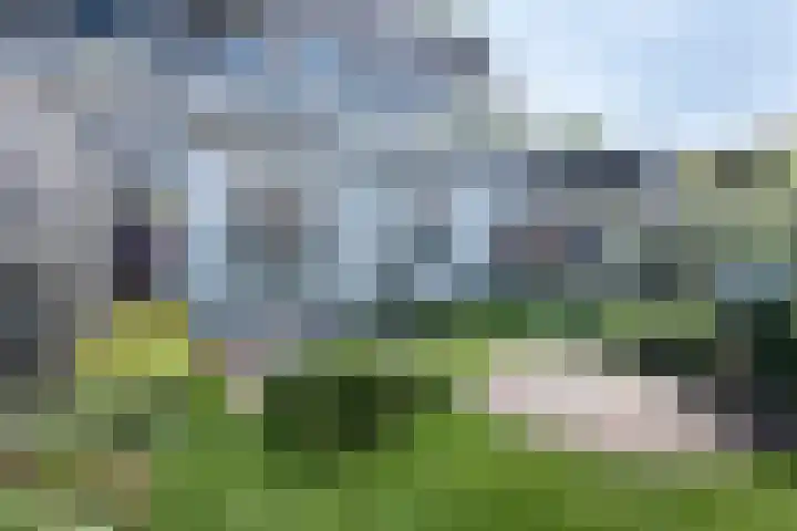 Zomervaart 216 Haarlem thumbnail 18