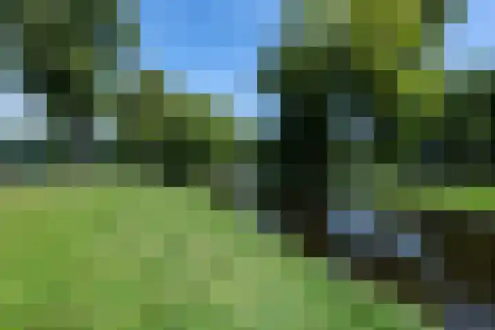 Zomervaart 216 Haarlem thumbnail 23