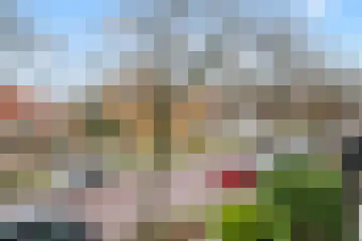 Zomervaart 220 A Haarlem thumbnail 9
