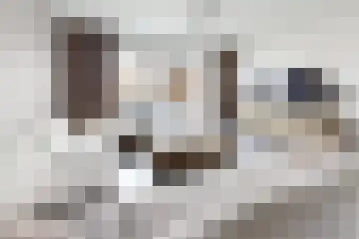 Zomervlinder 12 Standdaarbuiten thumbnail 11