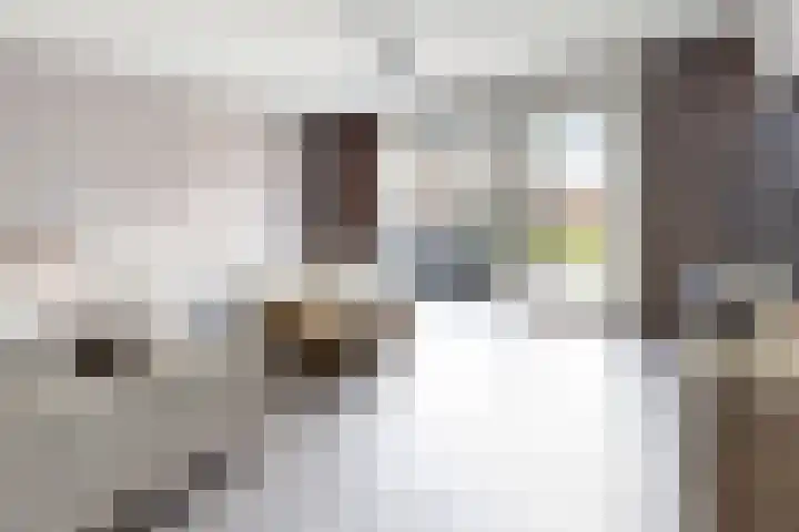 Zomervlinder 12 Standdaarbuiten thumbnail 12