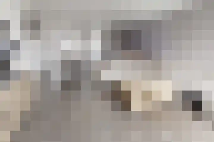 Zomervlinder 12 Standdaarbuiten thumbnail 14