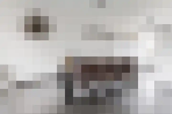 Zomervlinder 12 Standdaarbuiten thumbnail 15