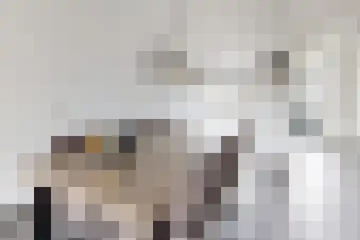 Zomervlinder 12 Standdaarbuiten thumbnail 17