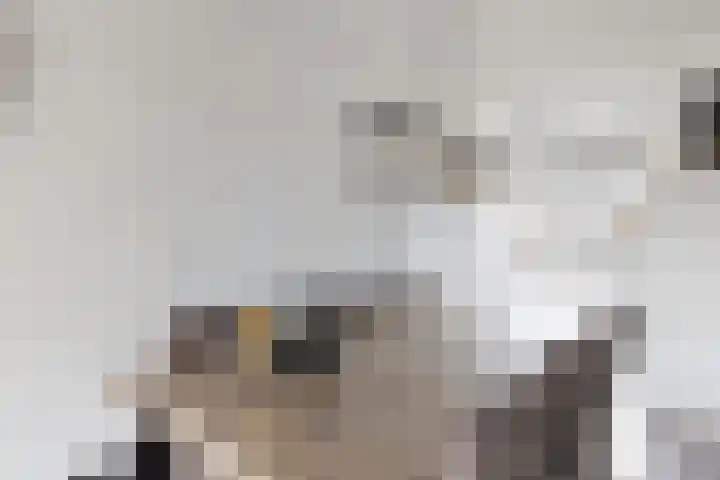 Zomervlinder 12 Standdaarbuiten thumbnail 18