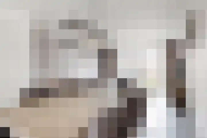 Zomervlinder 12 Standdaarbuiten thumbnail 19
