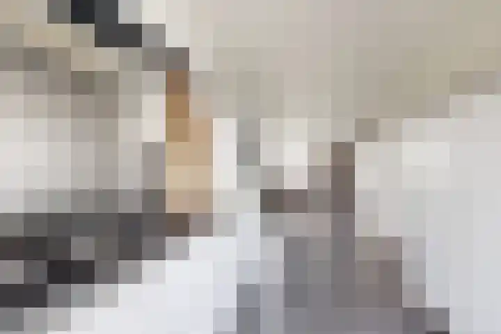 Zomervlinder 12 Standdaarbuiten thumbnail 20