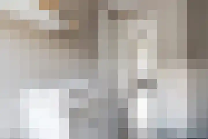 Zomervlinder 12 Standdaarbuiten thumbnail 30