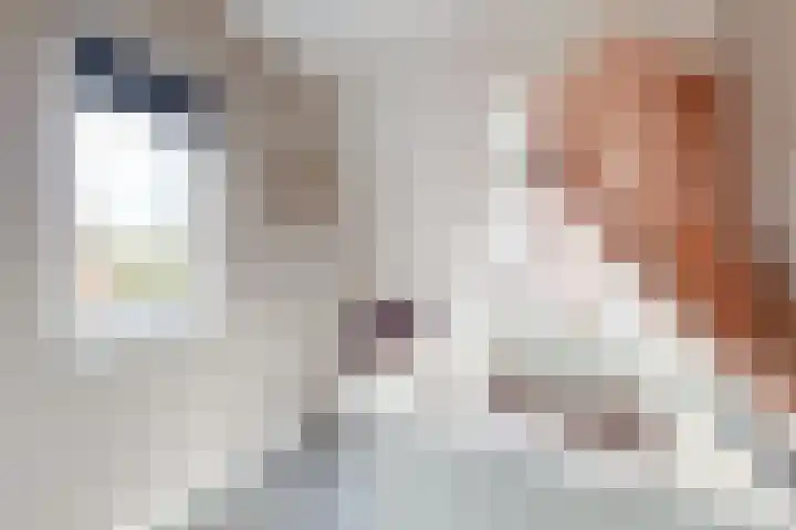 Zomervlinder 12 Standdaarbuiten thumbnail 35