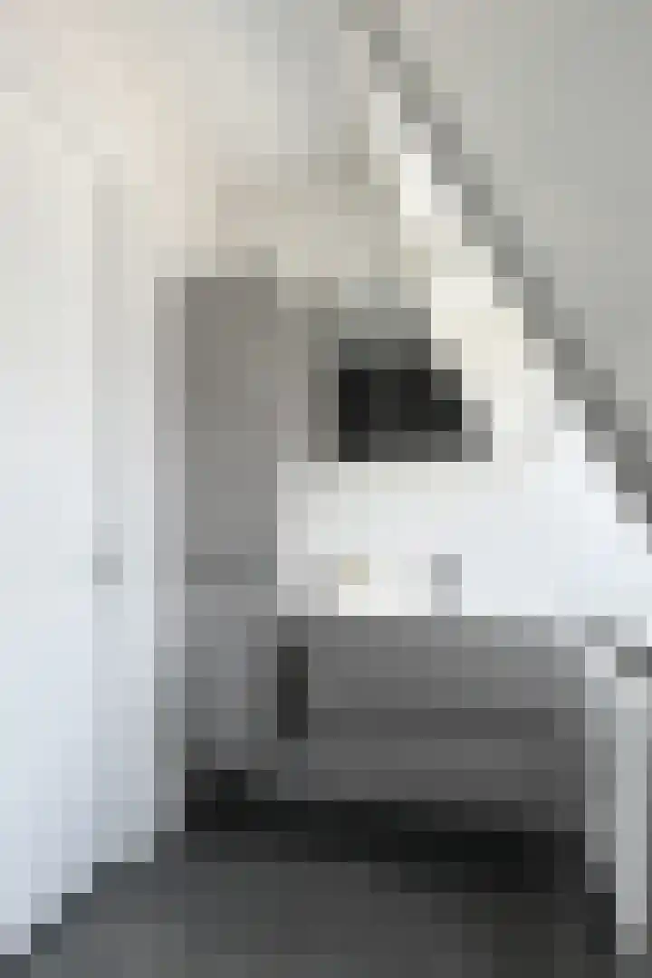 Zomervlinder 12 Standdaarbuiten thumbnail 39
