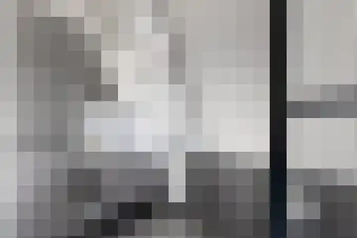 Zomervlinder 12 Standdaarbuiten thumbnail 4