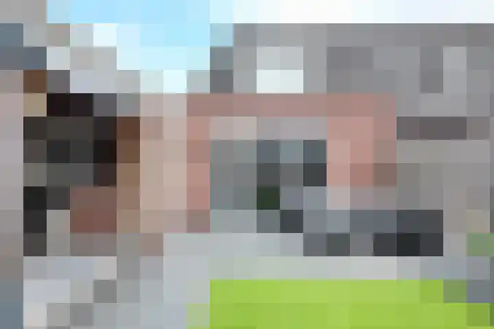 Zomervlinder 12 Standdaarbuiten thumbnail 40