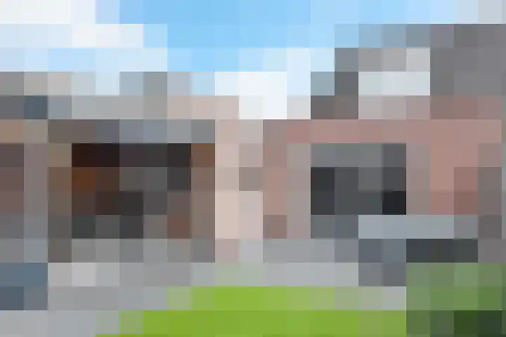 Zomervlinder 12 Standdaarbuiten thumbnail 41