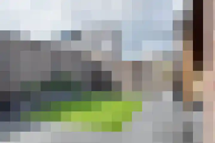 Zomervlinder 12 Standdaarbuiten thumbnail 42