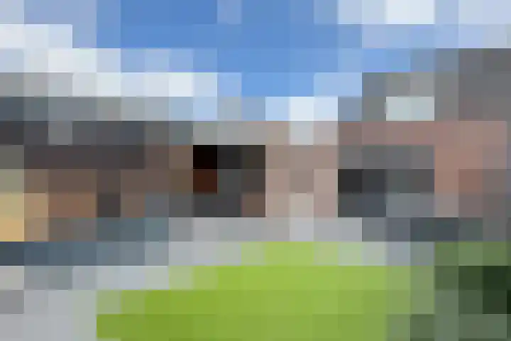 Zomervlinder 12 Standdaarbuiten thumbnail 43