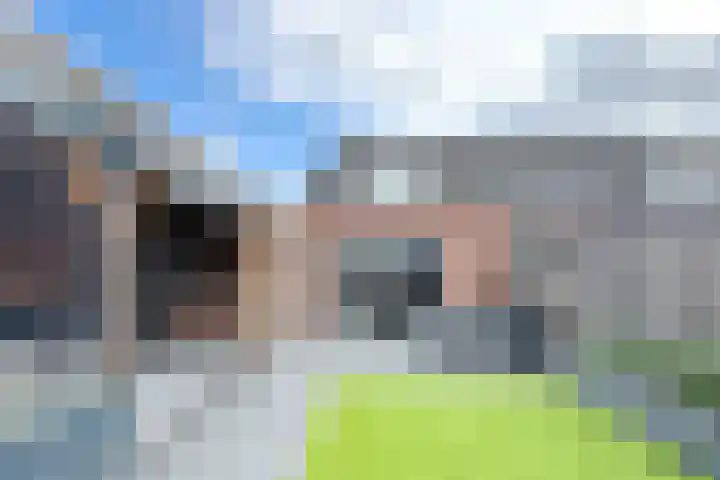 Zomervlinder 12 Standdaarbuiten thumbnail 44