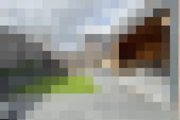 Zomervlinder 12 Standdaarbuiten thumbnail 46
