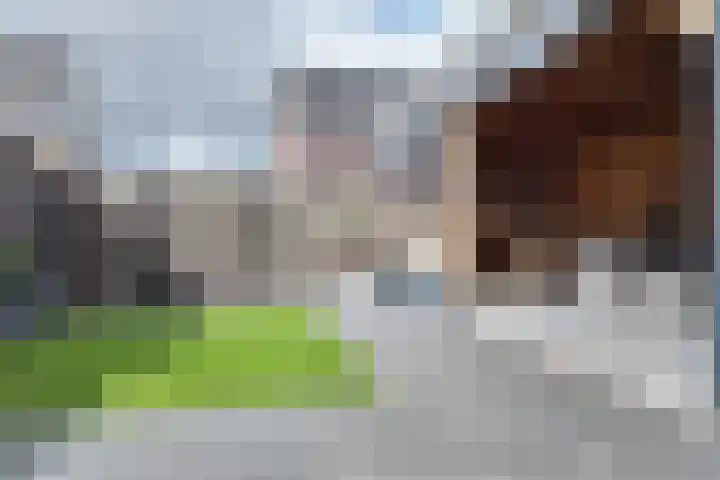 Zomervlinder 12 Standdaarbuiten thumbnail 47