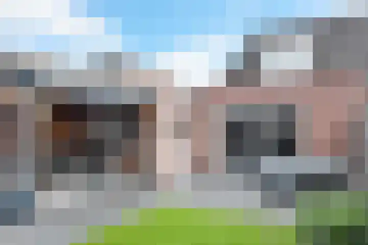 Zomervlinder 12 Standdaarbuiten thumbnail 5