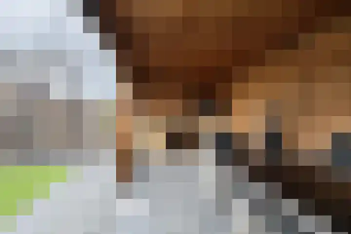 Zomervlinder 12 Standdaarbuiten thumbnail 50