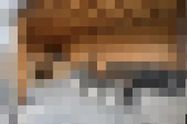 Zomervlinder 12 Standdaarbuiten thumbnail 6