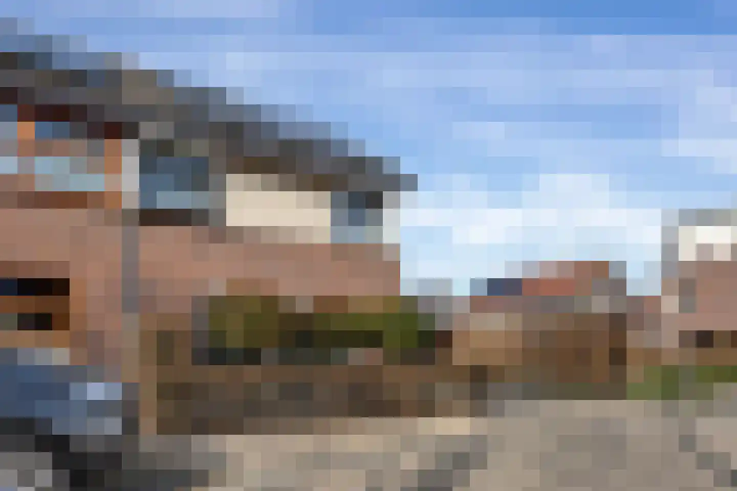 Zomervlinder 23 Enschede thumbnail 6