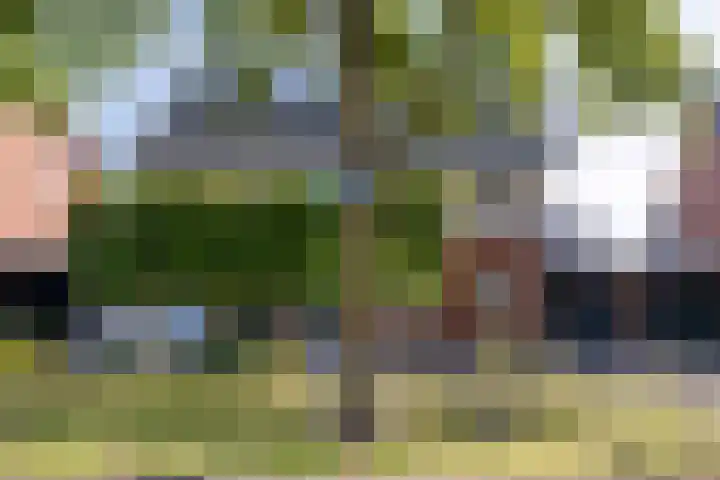 Zomervlinder 43 Enschede thumbnail 4